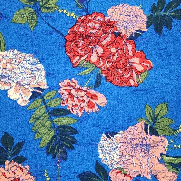 Lularoe Lynnae - Picture 2 of 3